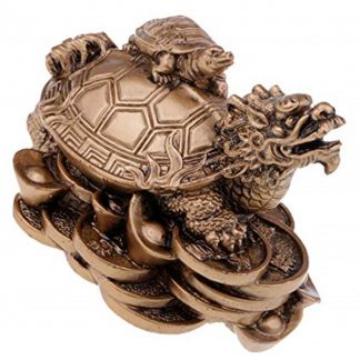 Tortuga con Cabeza de Dragón - 8x7 cm.