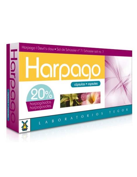 Harpago Tegor - 40 cápsulas