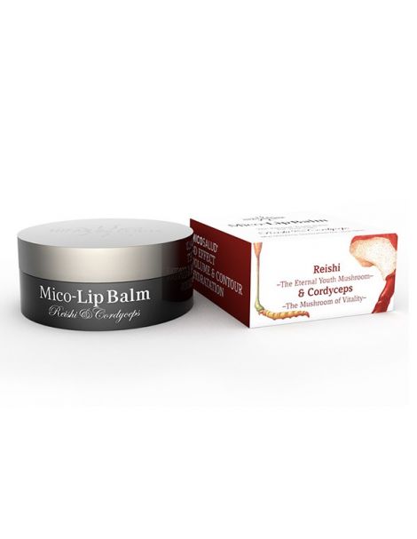 Mico-Lip Balm Hifas da Terra - 10 gramos