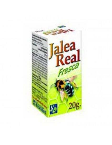 Jalea Real Fresca Ynsadiet - 20 gramos