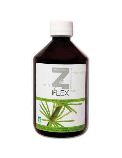 Z-Flex Mint-e Health Laboratories - 500 ml.