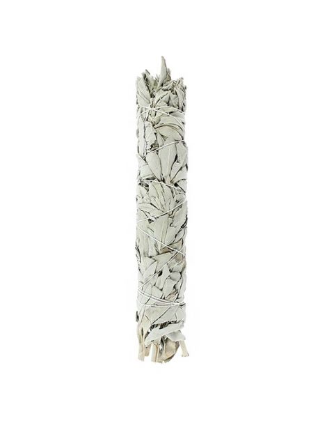 Salvia Blanca de California Tierra Zen - 22 cm.