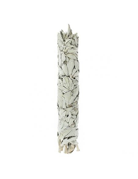 Salvia Blanca de California Tierra Zen - 22 cm.