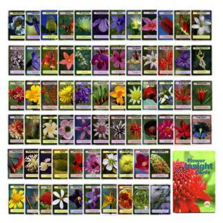 Cartas Florales de Bush