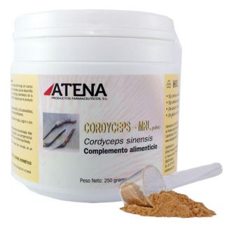 Cordyceps-MRL Atena - 250 gramos