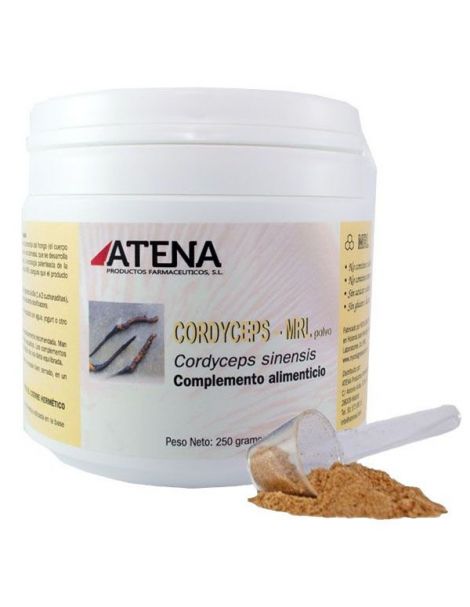 Cordyceps-MRL Atena - 250 gramos