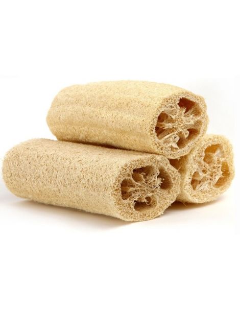 Esponja Vegetal de Luffa Natural - 27 cm.