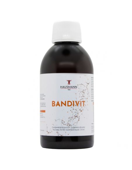 Bandivit Jarabe Hausmann Tec - 250 ml.