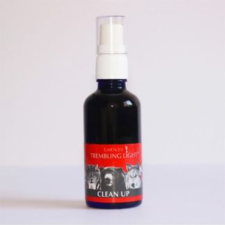 Spray Clean Up Trembling Light Essences - 50 ml.