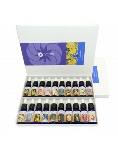 Set Esencias Tradicionales Caja de Cartón Nestinar - 40 esencias