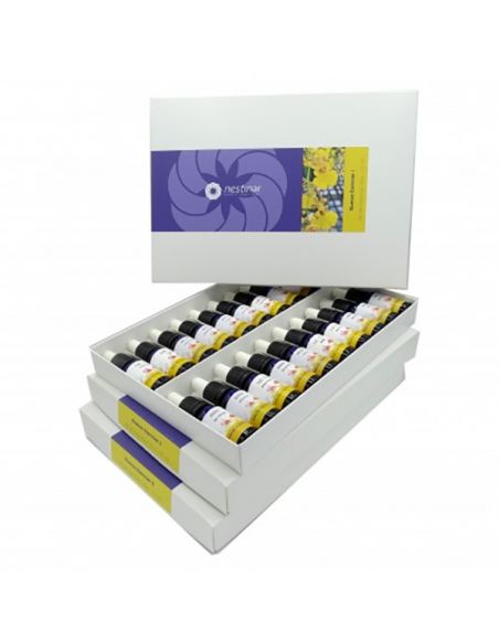 Set de Nuevas Esencias Nestinar - 60 esencias