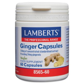 Jengibre 14.400 mg. Lamberts -  60 cápsulas