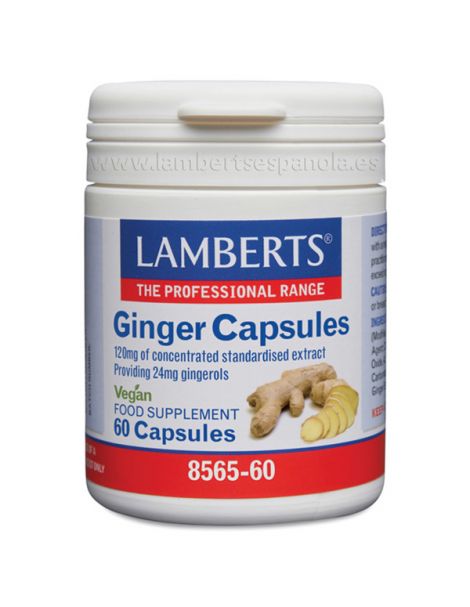 Jengibre 14.400 mg. Lamberts -  60 cápsulas