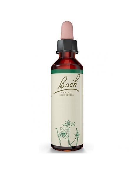 Walnut/Nogal Flores Dr. Bach - frasco de 20 ml.