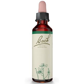 Holly/Acebo Flores Dr. Bach - frasco de 20 ml.