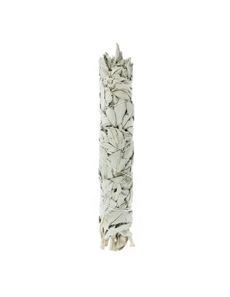 Salvia Blanca de California Tierra Zen - 10 cm.