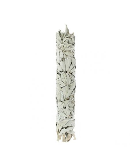 Salvia Blanca de California Tierra Zen - 10 cm.
