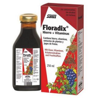 Floradix Hierro + Vitaminas Salus - 250 ml.