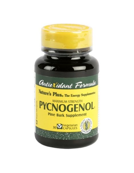 Pycnogenol Nature's Plus - 30 cápsulas