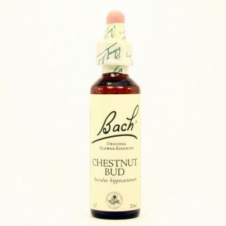 Chestnut Bud/Brote de Castaño Flores Dr. Bach - frasco de 20 ml.