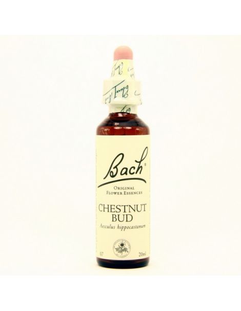Chestmut Bud/Brote de Castaño Flores Dr. Bach - frasco de 20 ml.