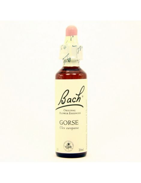 Gorse/Aulaga Flores Dr. Bach - frasco de 20 ml.