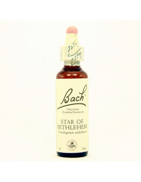 Star of Bethlehem/Leche de Gallina Flores Dr. Bach - frasco de 20 ml.