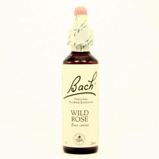 Wild Rose/Rosa Silvestre Flores Dr. Bach - frasco de 20 ml.