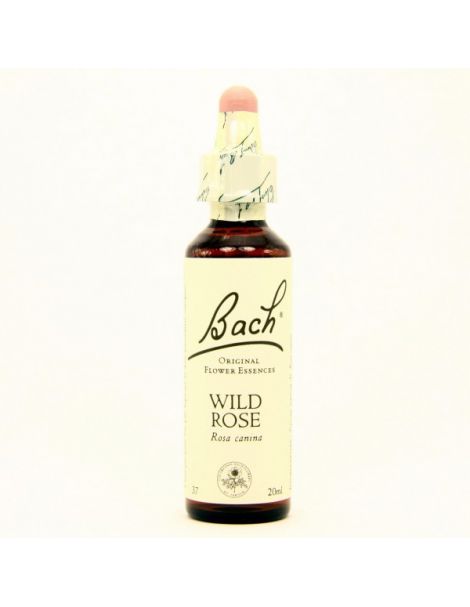 Wild Rose/Rosa Silvestre Flores Dr. Bach - frasco de 20 ml.