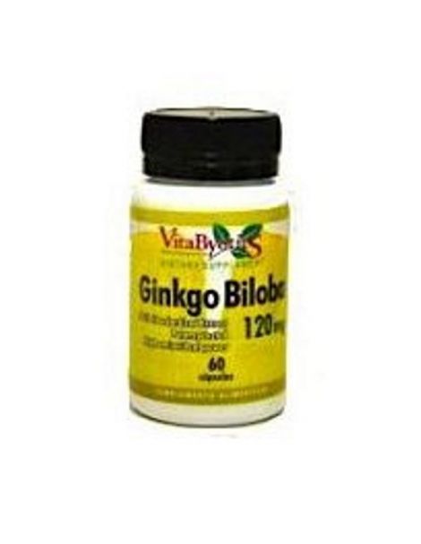 Ginkgo Biloba VByotics - 120 cápsulas
