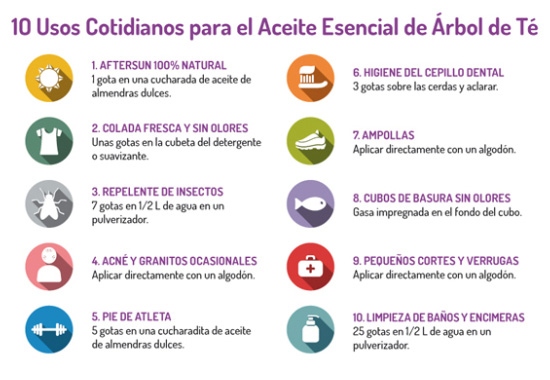 Usos del aceite del arbol del te Los 10 usus más frecuentes del aceite del árbol del te