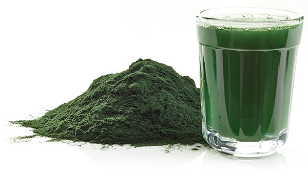 Vaso con Spirulina