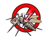 Anti-insectos