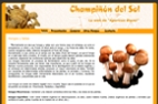 www.champiñondelsol.com